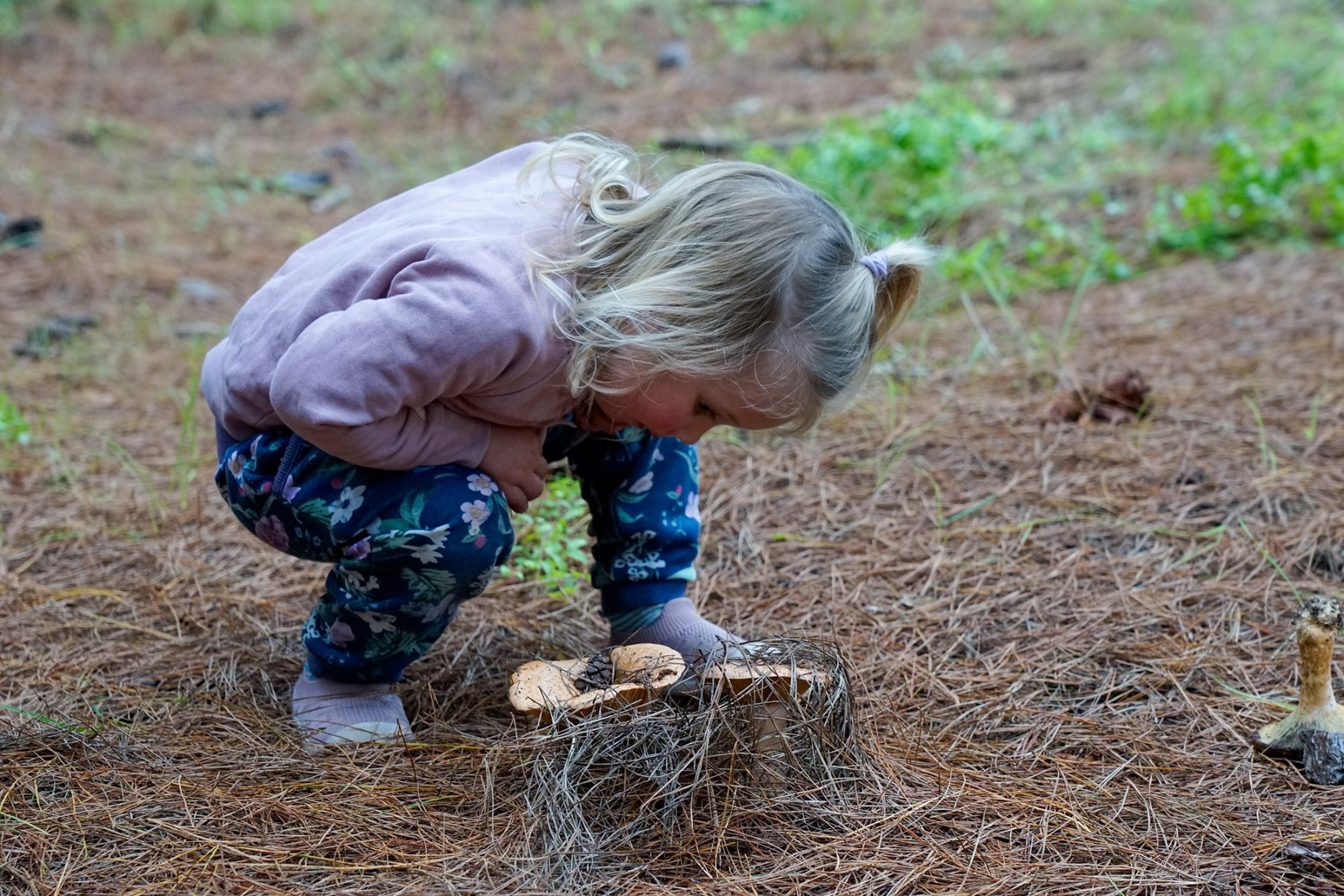 5 reasons we love hiking with toddlers in Autumn